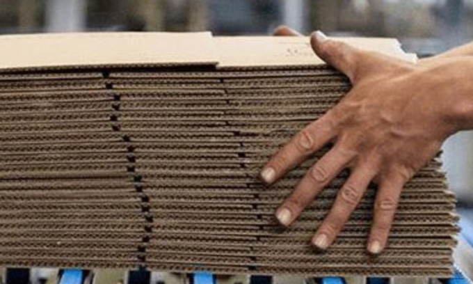 Carta e cartone: difendiamo l’economia circolare italiana del riciclo