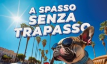 A spasso senza trapasso: l’usato di Autotorino conviene