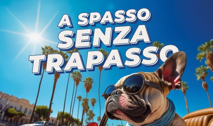 A spasso senza trapasso: l’usato di Autotorino conviene