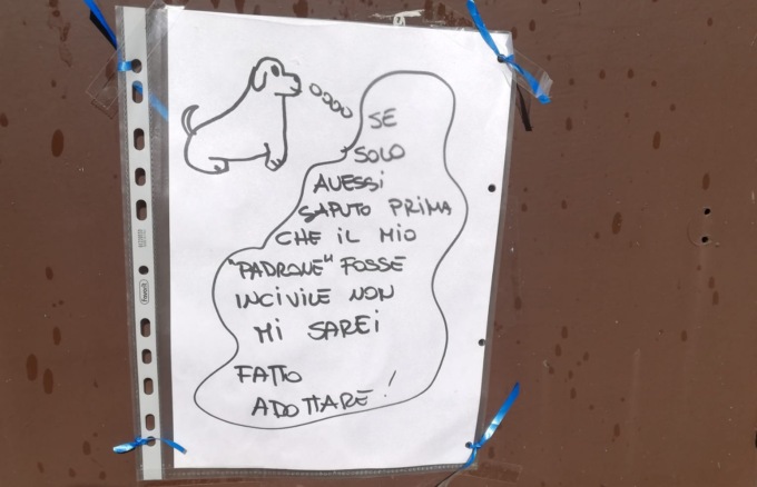 Colle Brianza, proteste contro i padroni di cani incivili: “Ne abbiamo piene le scarpe”