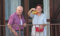 A Monte Marenzo è partita la sfida per il pomodoro più pesante. Il record attuale: 1Kg e 32 grammi