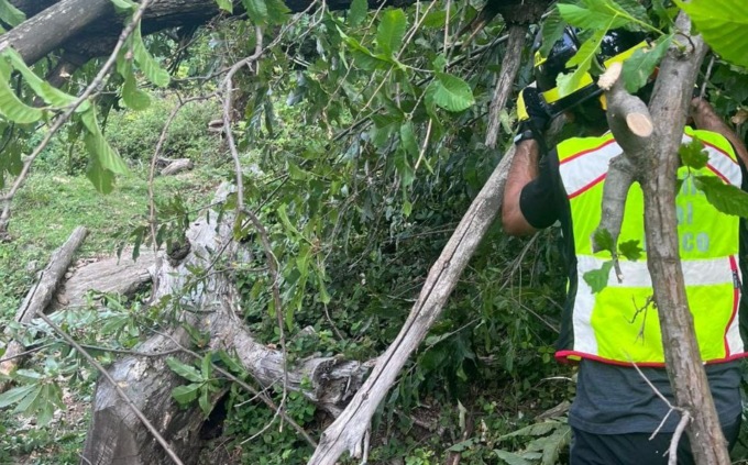 Dervio, intervento dei Vigili del fuoco per liberare il sentiero in seguito alla caduta di alcune piante