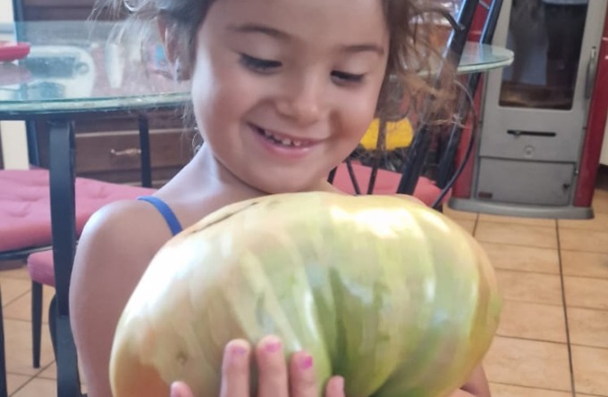 Monte Marenzo, la gara a colpi di pomodori giganti supera i confini del Comune, ma non solo…
