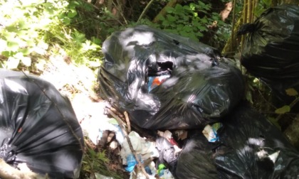 Ballabio: rifiuti abbandonati nel  bosco, maxi multa