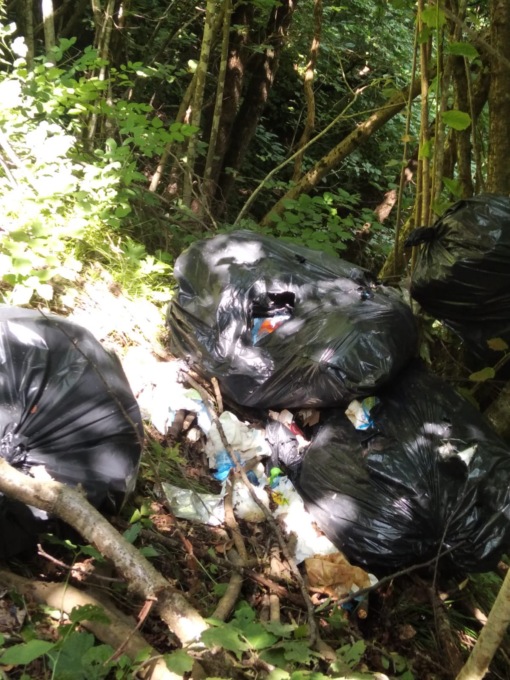 Ballabio: rifiuti abbandonati nel  bosco, maxi multa