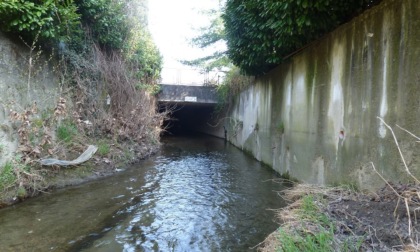 Lavori anti-alluvione sul Gandaloglio, Circolo Ilaria Alpi: “Un palliativo; occorre ridurre il consumo di suolo!”