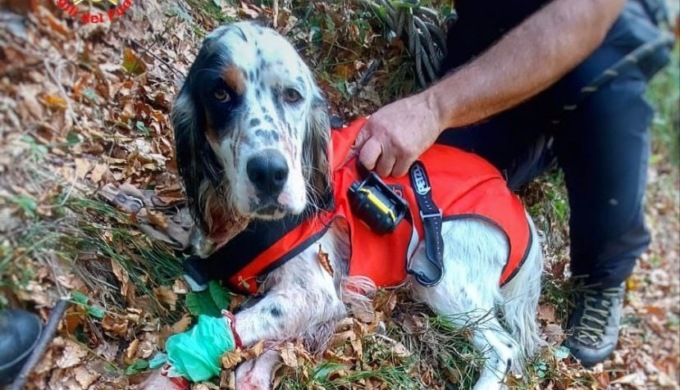 Recuperato Kim, il cagnolino caduto in una forra in zona Pialeral
