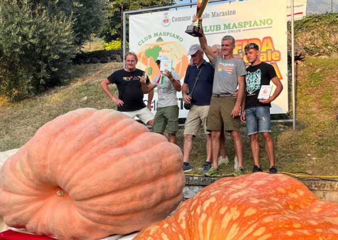 La zucca più grande d’Italia è lecchese