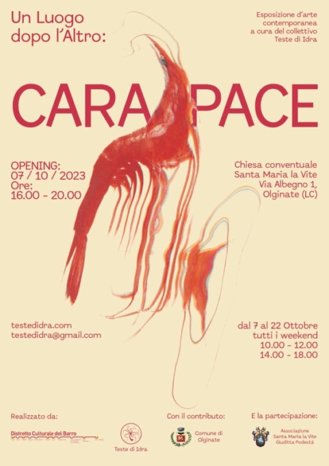 Olginate, sabato prossimo l’inaugurazione della mostra “Cara/Pace”