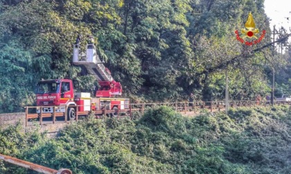 Vestreno, intervento dei Vigili del fuoco per rimuovere una pianta finita sulla linea dell'alta tensione