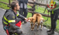 Introbio, intervento dei Vigili del fuoco per soccorrere una donna dispersa insieme alla sua cagnolina
