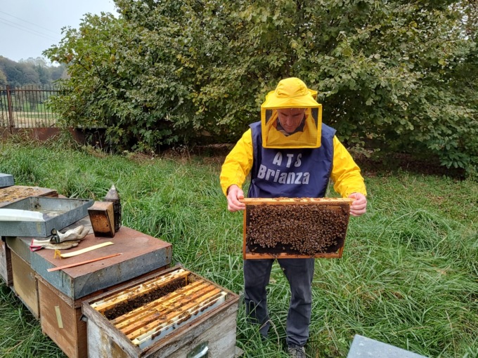 Ats Brianza: un’indagine sulle api, le condizioni migliori in alta Valsassina