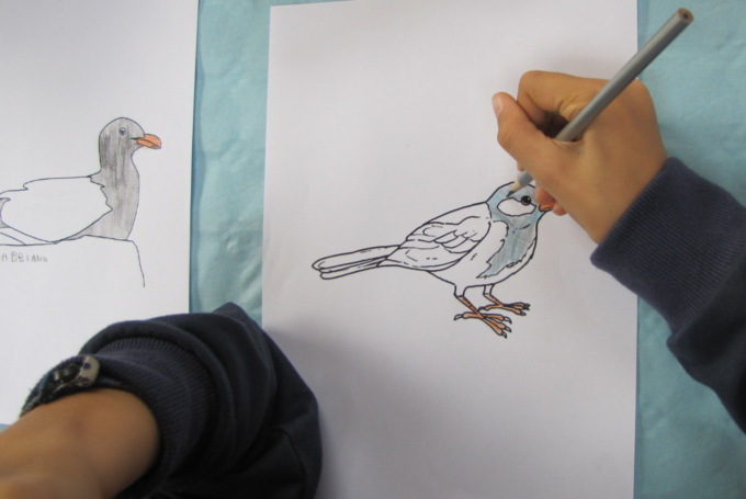Piccoli amici alati: evento per vi bimbi con il Wwf Lecco