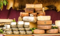 Approda a Lecco il corso per assaggiatori di formaggio Onaf