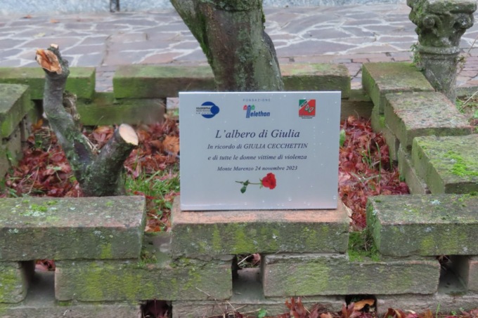 Un “albero della vita” in ricordo di Giulia Cecchettin