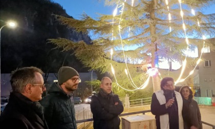 Germanedo, accese le luminarie del grande cedro
