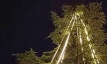 Inaugurato l'albero di Natale del centro diurno per anziani Laser