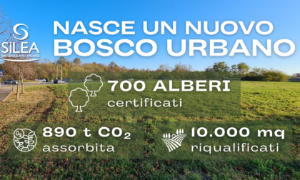 Valmadrera, Silea pianta oltre 700 alberi per creare un nuovo bosco urbano ad Osnago