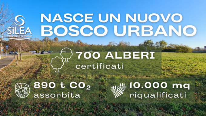 Valmadrera, Silea pianta oltre 700 alberi per creare un nuovo bosco urbano ad Osnago