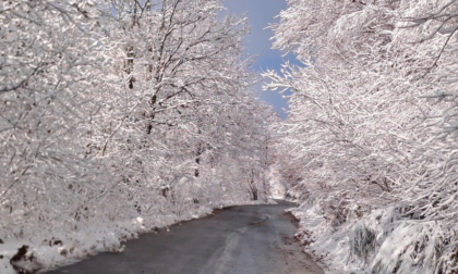 Un bosco fatato: la magia nella foto che immortala la strada per Paglio