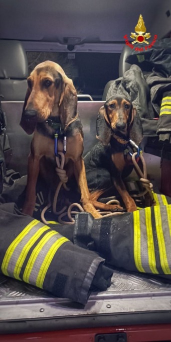 Da giorni in un dirupo: cani salvati dai Vigili del fuoco. Si cerca il proprietario