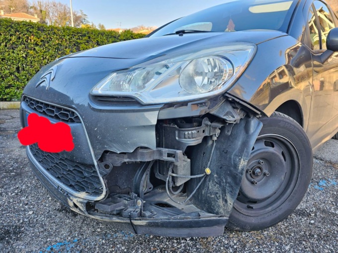 Frontale col cinghiale in piena notte