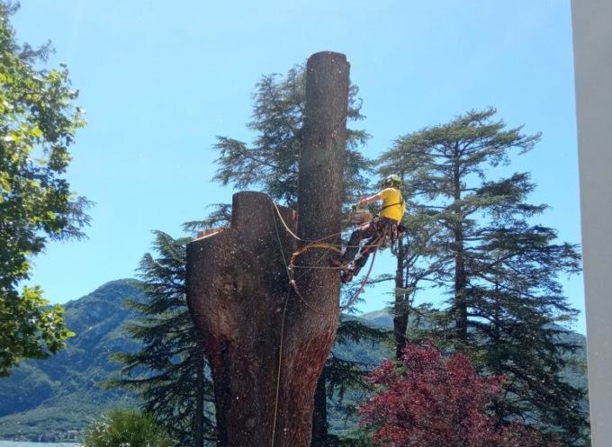 Consorzio Forestale Lecchese: aperte le candidature per il Cda