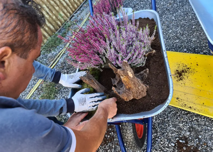 Autismo, cura del verde e inserimento lavorativo: aperte le iscrizioni del corso A5sensi