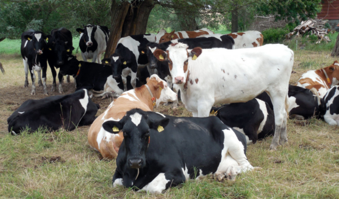 Al Cfpa nasce il nuovo corso per diventare operatore agricolo