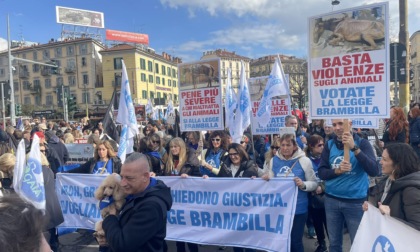 Brambilla a Milano: "No alle violenze sugli animali, sì a pene più severe"