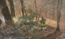 Ancora un bosco in fiamme in Valsassina