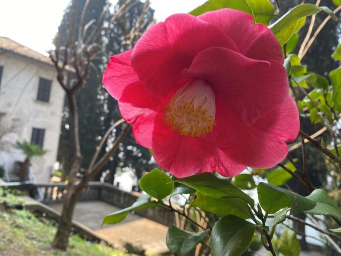 Villa Monastero partecipa a FuoriOrticola 2024