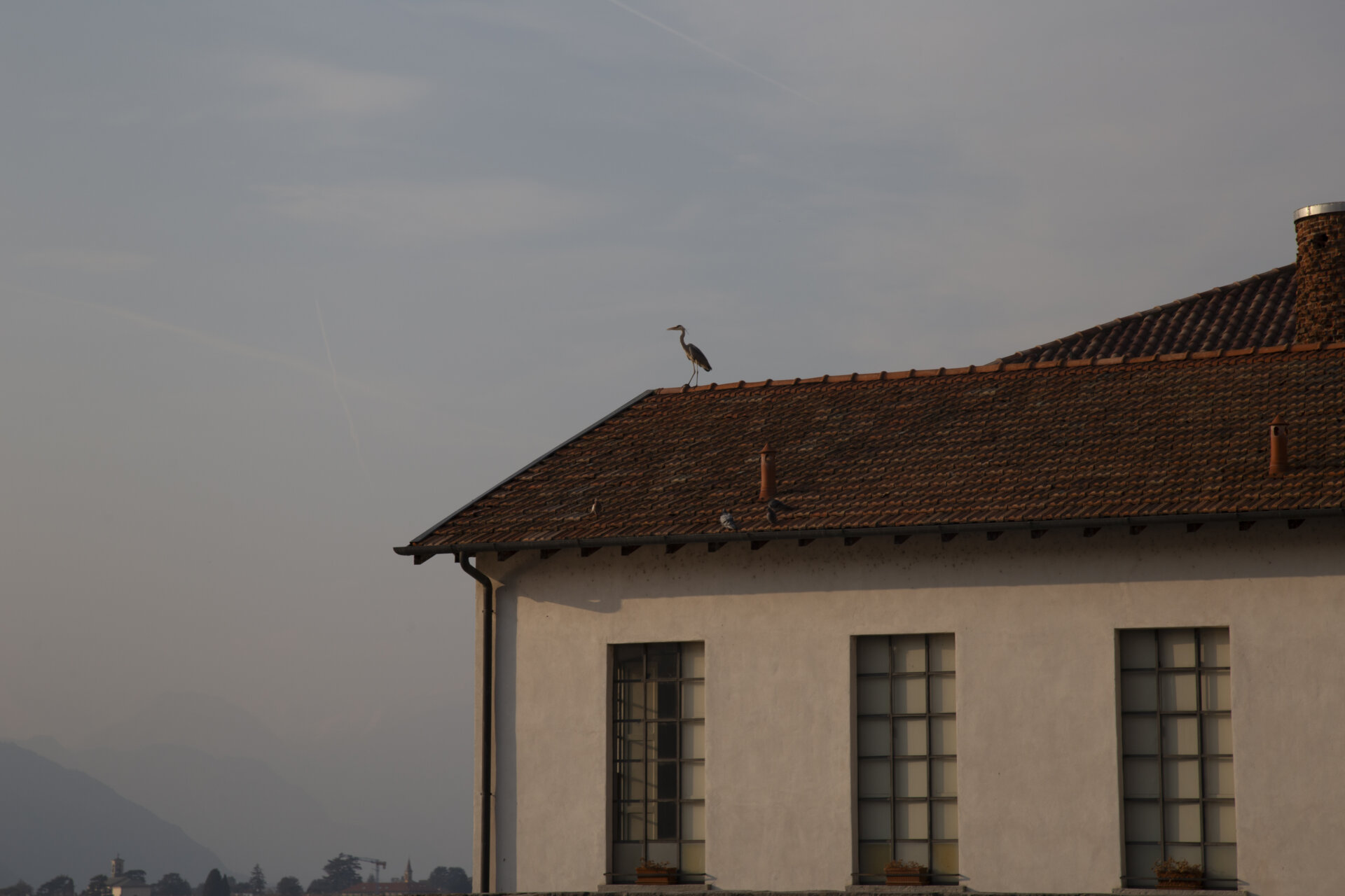 Il guardiano del faro