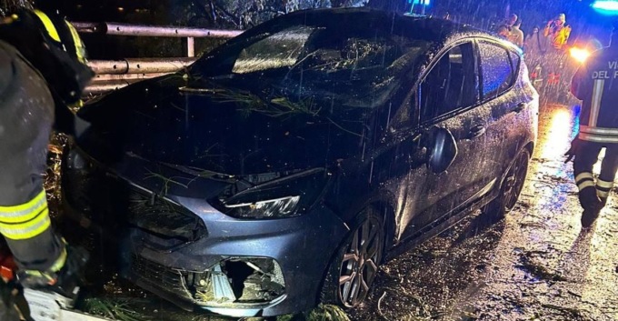Mattinata di interventi sul lago: una pianta si abbatte sulla strada, coinvolgendo un veicolo