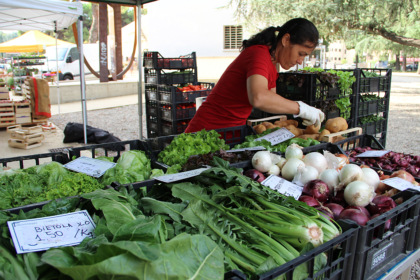 8 milioni per rilanciare i mercati comunali: fondi anche per il Lecchese