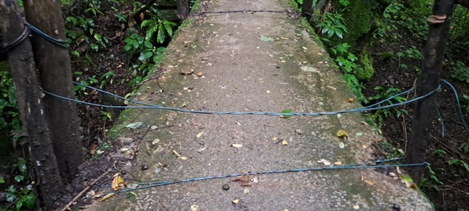 Lecco: cavi metallici tirati nel bosco,  assurda trappola