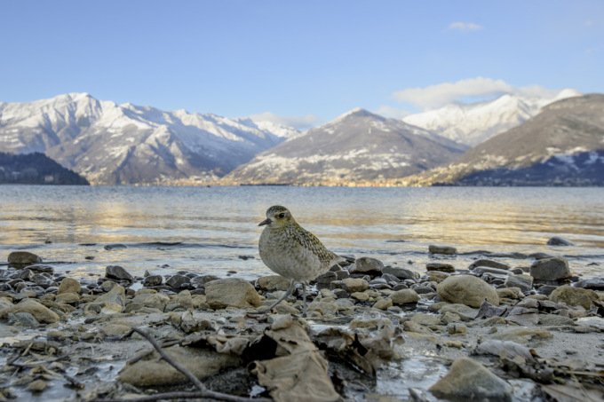 Meraviglie Lariane: ecco le foto vincitrici del concorso