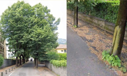 Piano rioni, da lunedì lavori in via Solferino