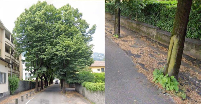 Piano rioni, da lunedì lavori in via Solferino