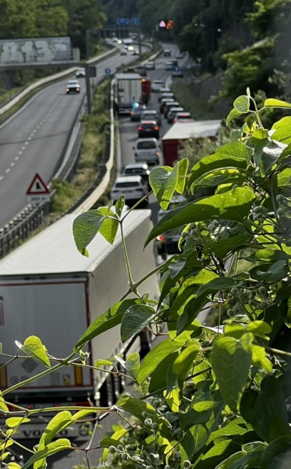 Incidente in Statale 36: coinvolto un camion, traffico in tilt