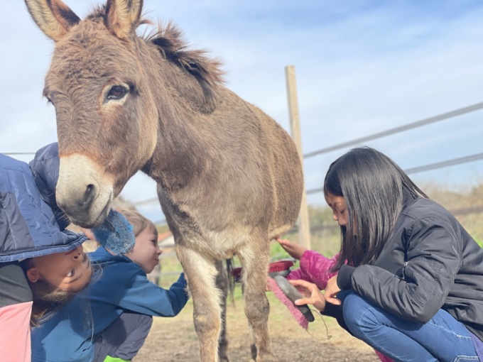 Fervono le attività dell’Impresa sociale Cascina Andegardo