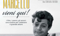 Al Lecco Film Fest 2024 la  mostra "Marcello, vieni qui!"