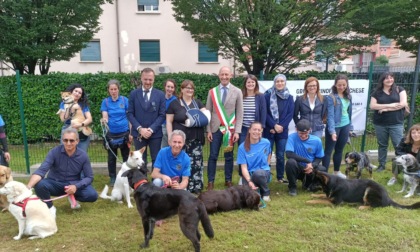 Dog Park Lecco: inaugurata l'area verde in via Risorgimento