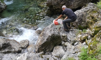 700 chili di trote "seminate" nei torrenti lecchesi