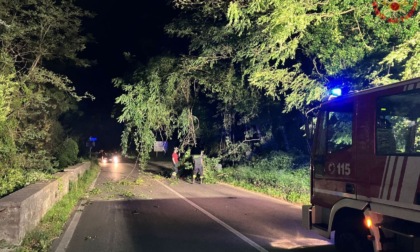 Statale 36 chiusa e Sp 72 bloccata da alberi caduti: intervento dei pompieri