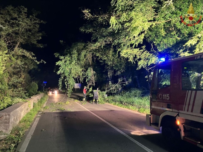 Statale 36 chiusa e Sp 72 bloccata da alberi caduti: intervento dei pompieri