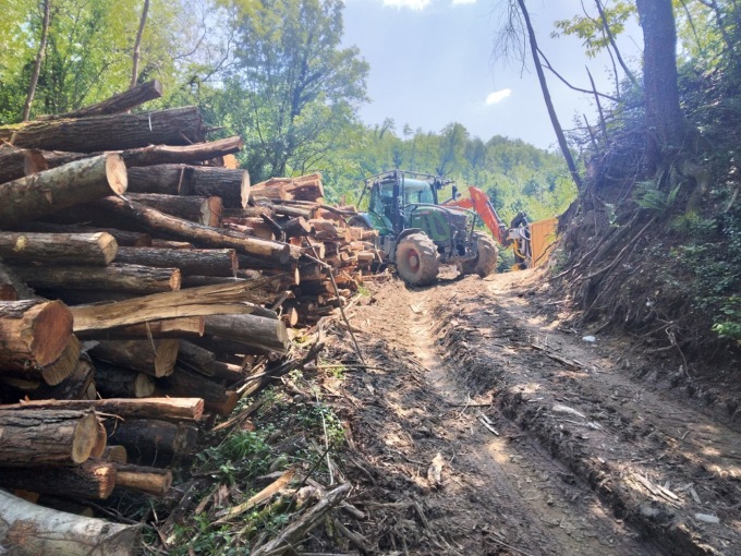 Torrente Gandaloglio: una diffida contro i lavori di sistemazione delle sponde