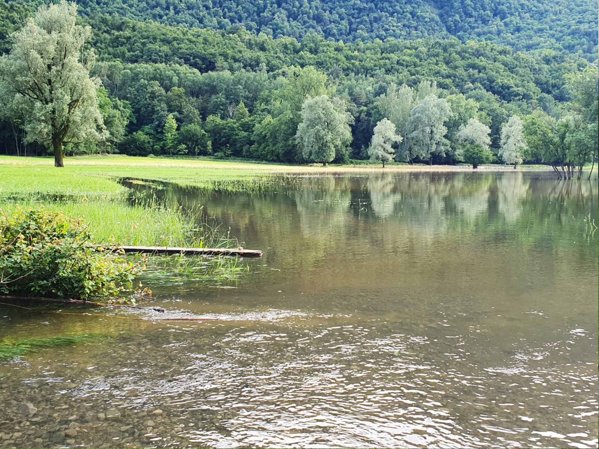 Prati e campi invasi in Alto Lago