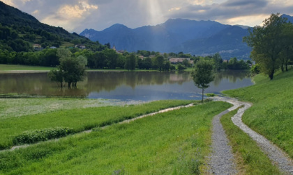 Maltempo: prati e campi allagati, detriti a valle: l’agricoltura lariana  è in ginocchio