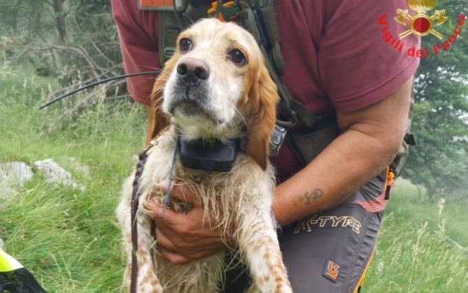 Cagnolino finisce in un crepaccio, lo salvano i Vigili del fuoco